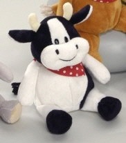 Bild anklicken vergrößert